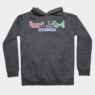 إسرائيل شريرة - Israel IS EVIL - In Arabic Palestine Flag Colors - Double-sided Hoodie